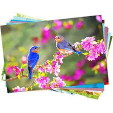 5UND - IMPRESSÃO PAPEL FOTOGRÁFICO 180G 20X30CM - IMPRESSÃO FRENTE E VERSO COLORIDO